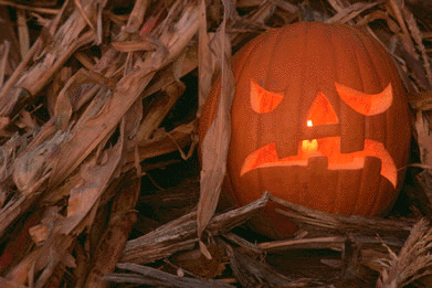 Halloween Pumpkin!